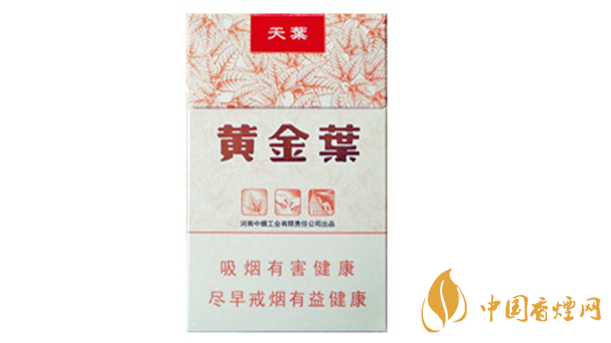 黃金葉天葉真?zhèn)卧趺幢鎰e？天葉真假如何看？