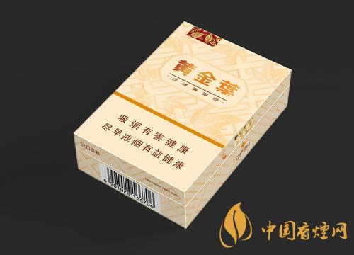 黃金葉天韻市場價多少錢？黃金葉天韻香煙零售價格及參數2020